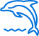 电影文学改编
